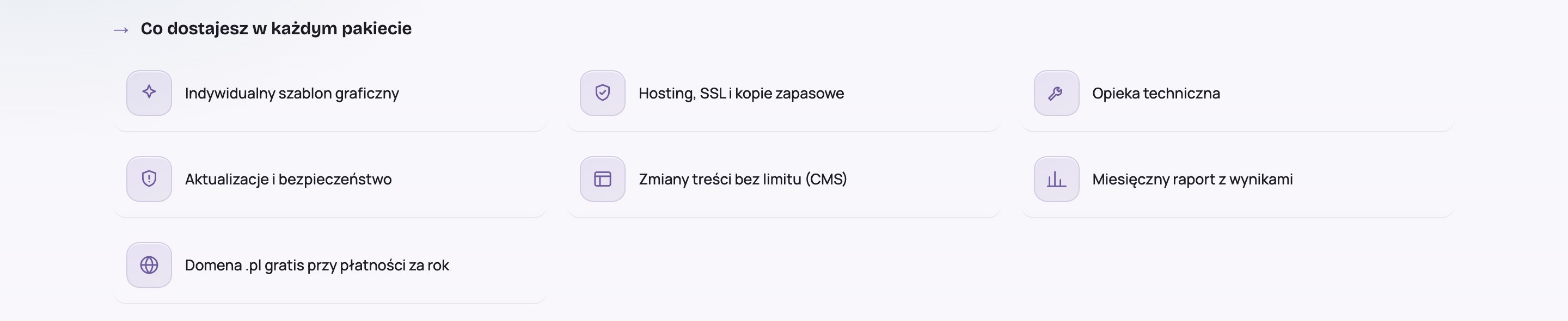 Lista tego, co jest w cenie każdego pakietu xqx.pl: indywidualny szablon graficzny, hosting, SSL, kopie zapasowe, opieka techniczna, aktualizacje, zmiany treści w CMS bez limitu, raport miesięczny i domena .pl przy płatności za rok