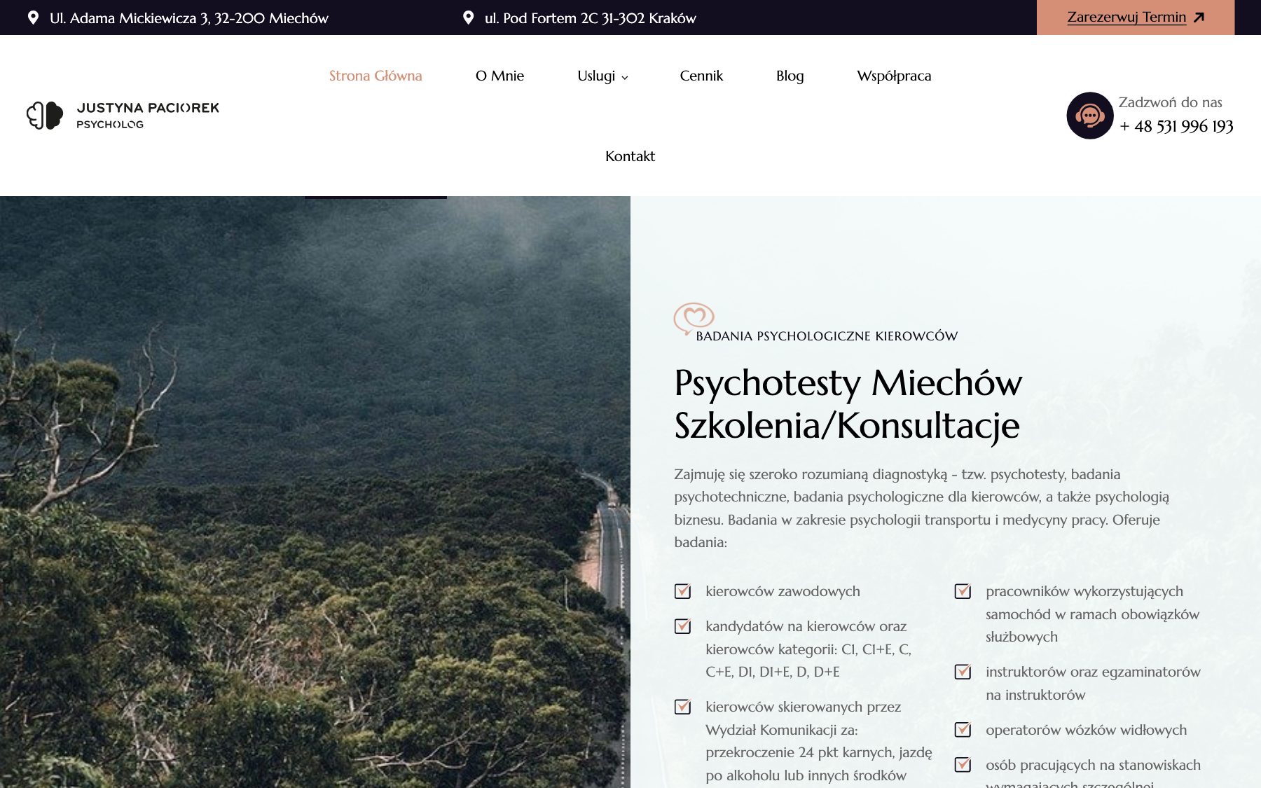 Strona psycholog-paciorek.pl, widok główny z sekcją badań dla kierowców